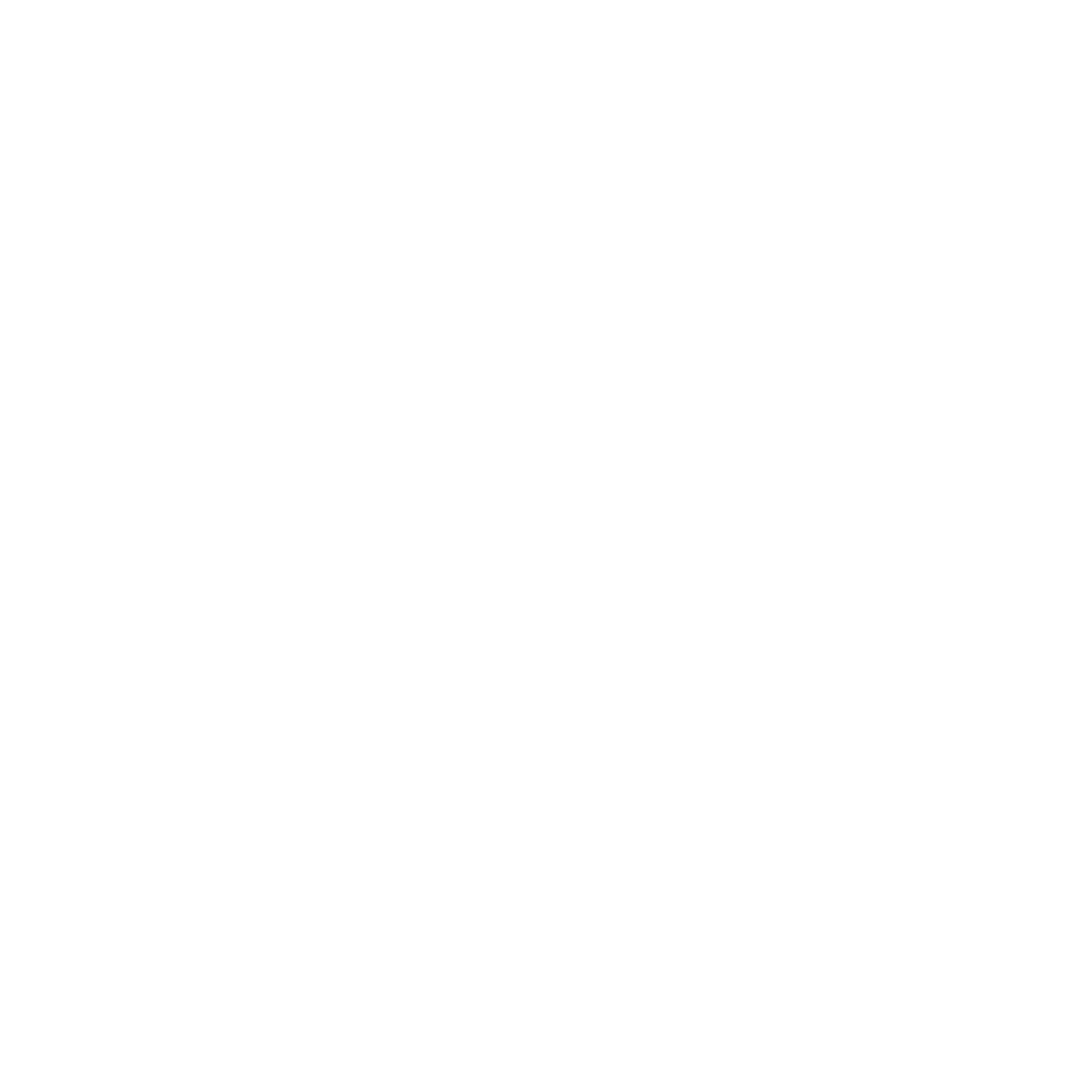 Vexis Noir Logo